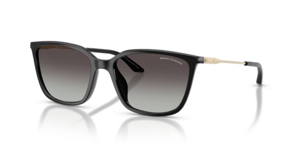 Armani Exchange 0AX4171SU Negro brillante Talla 55