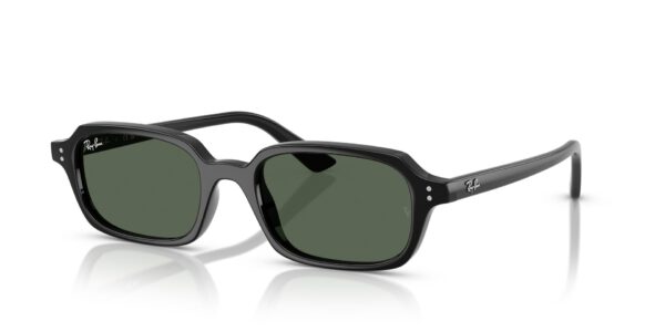 Ray-Ban 0RB4455 Negro Talla 52
