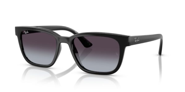 Ray-Ban 0RB4448L